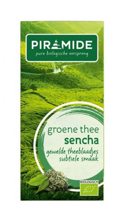 Groene thee sencha Piramide